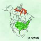 Cackling Goose range map