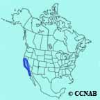 California Thrasher range map