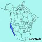 California Towhee range map