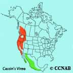 Cassin's Vireo range map