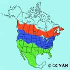 Cedar Waxwing range map