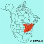 Cerulean Warbler range map