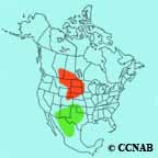 Chestnut-collared Longspur range map