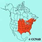 Chimney Swift range map