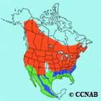 Chipping Sparrow range map