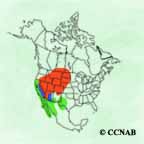 Clark's Grebe range map