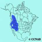 Clark's Nutcracker range map