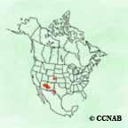 Common Black-Hawk range map