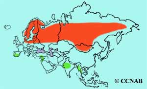 Common Crane range map