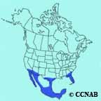 Common Ground-Dove range map