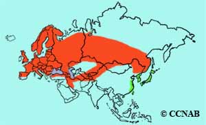 Common Redstart range map