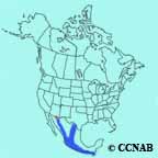 Crescent-chested Warbler range map