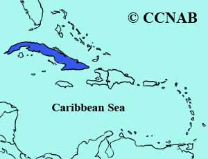 Cuban Blackbird range map