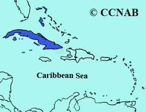 Cuban Emerald range map