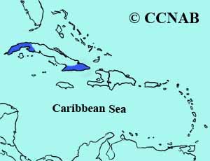 Cuban Solitaire range map