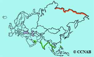 Curlew Sandpiper range map