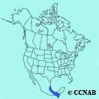 Double-striped Thick-knee range map