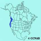 Downy Woodpecker (Pacific Northwest) range map