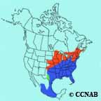 Eastern Meadowlark (Eastern) range map