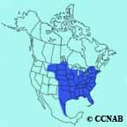 Eastern Screech-Owl range map