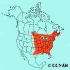 Eastern Wood-Pewee range map
