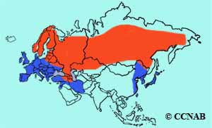 Eurasian Kestrel range map