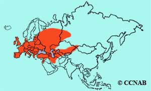 European Turtle-Dove range map