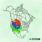 Ferruginous Hawk range map