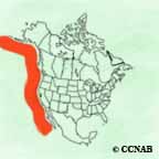 Flesh-footed Shearwater range map