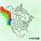 Fork-tailed Storm-Petrel range map