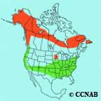 Fox Sparrow (red) range map