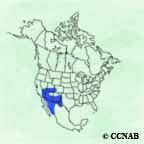Gambel's Quail range map