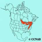 Golden-winged Warbler range map