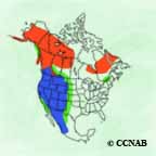 Golden Eagle range map