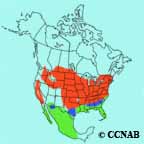 Grasshopper Sparrow range map