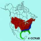Gray Catbird range map