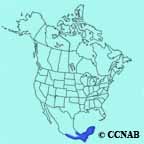 Great Black-Hawk range map