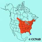 Great Crested Flycatcher range map