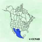 Harris's Hawk range map