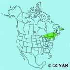 Hoary Redpoll (Hornemann's) range map