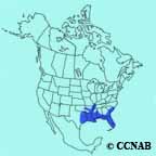 Ivory-billed Woodpecker range map