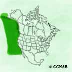 Laysan Albatross range map