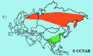 range map