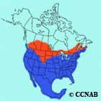 Mourning Dove range map