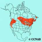 Nashville Warbler range map