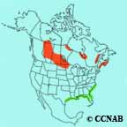 Nelson's Sparrow range map