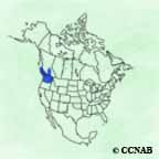 Northern California Quail range map