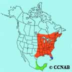 Northern Parula range map