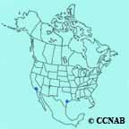 Northern Red Bishop range map