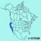 Oak Titmouse range map